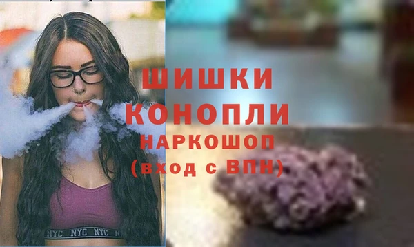 индика Абдулино