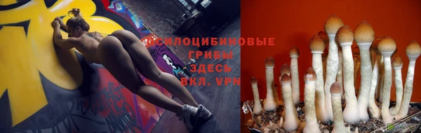 первитин Абинск