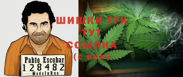 индика Абдулино