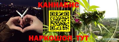 дмт Пенза