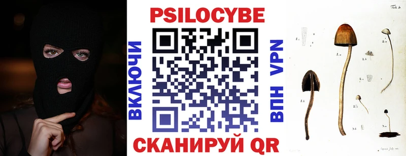 Галлюциногенные грибы Psilocybe  ОМГ ОМГ как зайти  Туапсе 